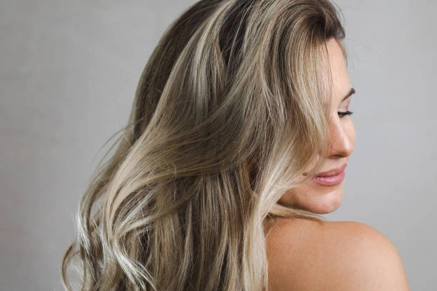 Highlights